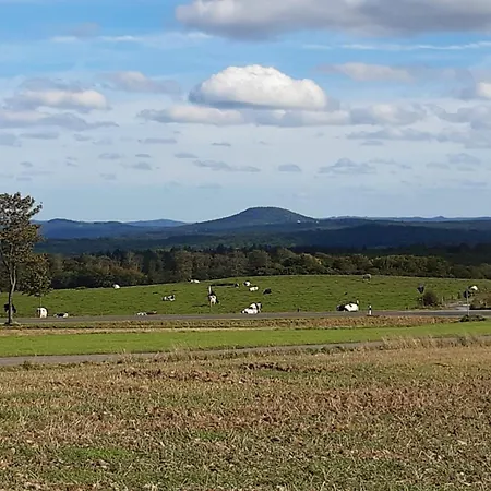 Deine Zeit Mit Sauna Und Wallbox * Nettersheim