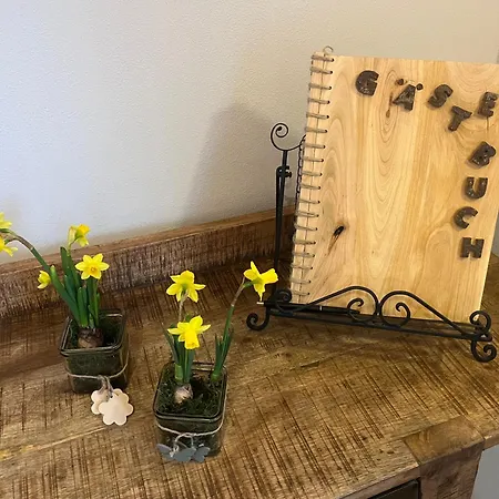 Ferienhaus Deine Zeit Mit Sauna Und Wallbox